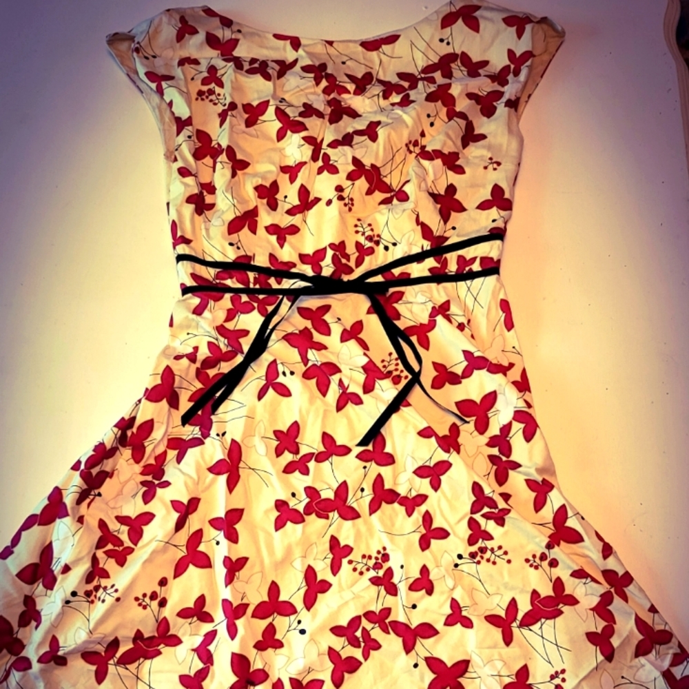 Adorable 50s style dress size 8
